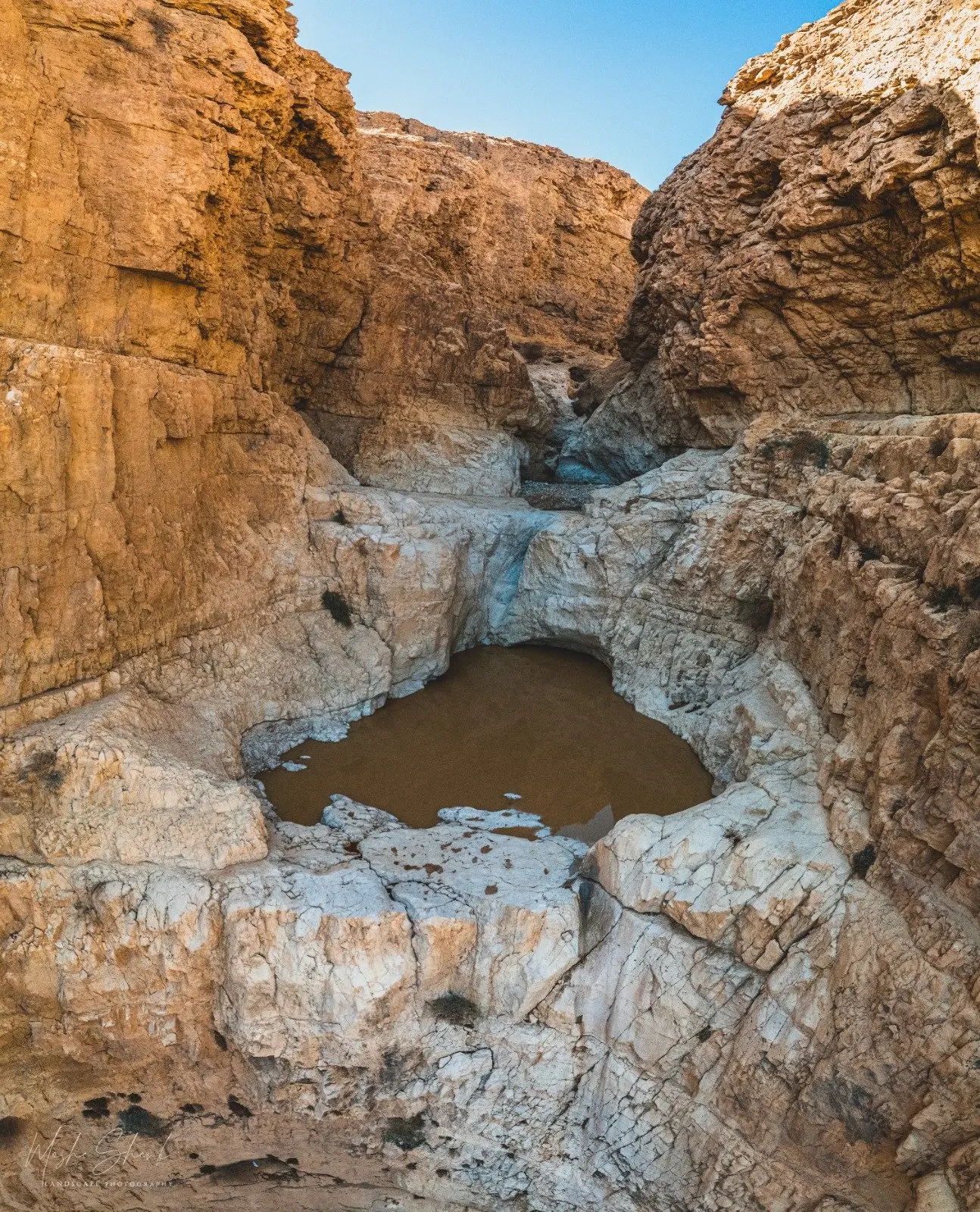 בריכת צפירה, תמונה 1 מתוך 2