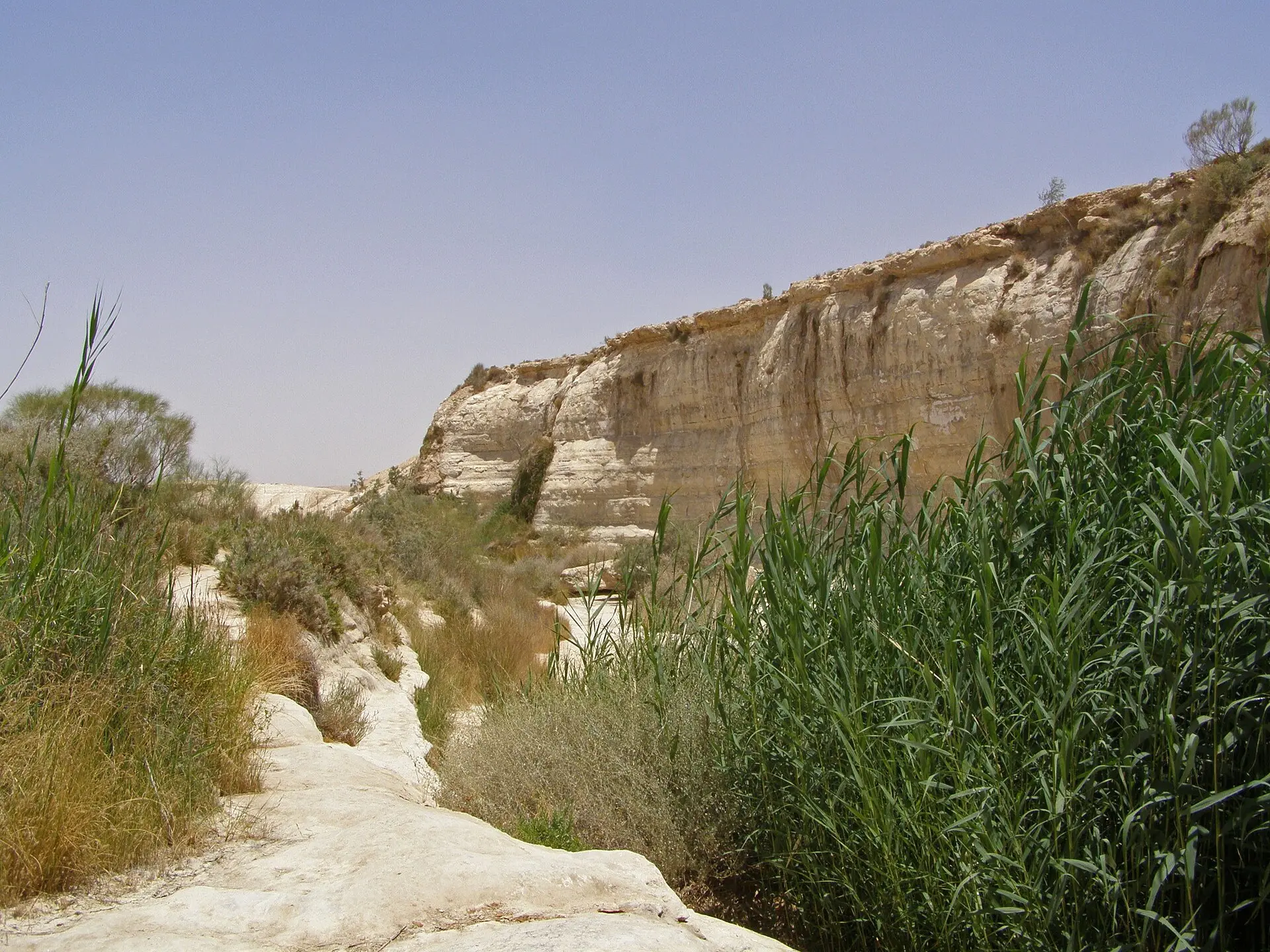 עין עקב, תמונה 2 מתוך 3