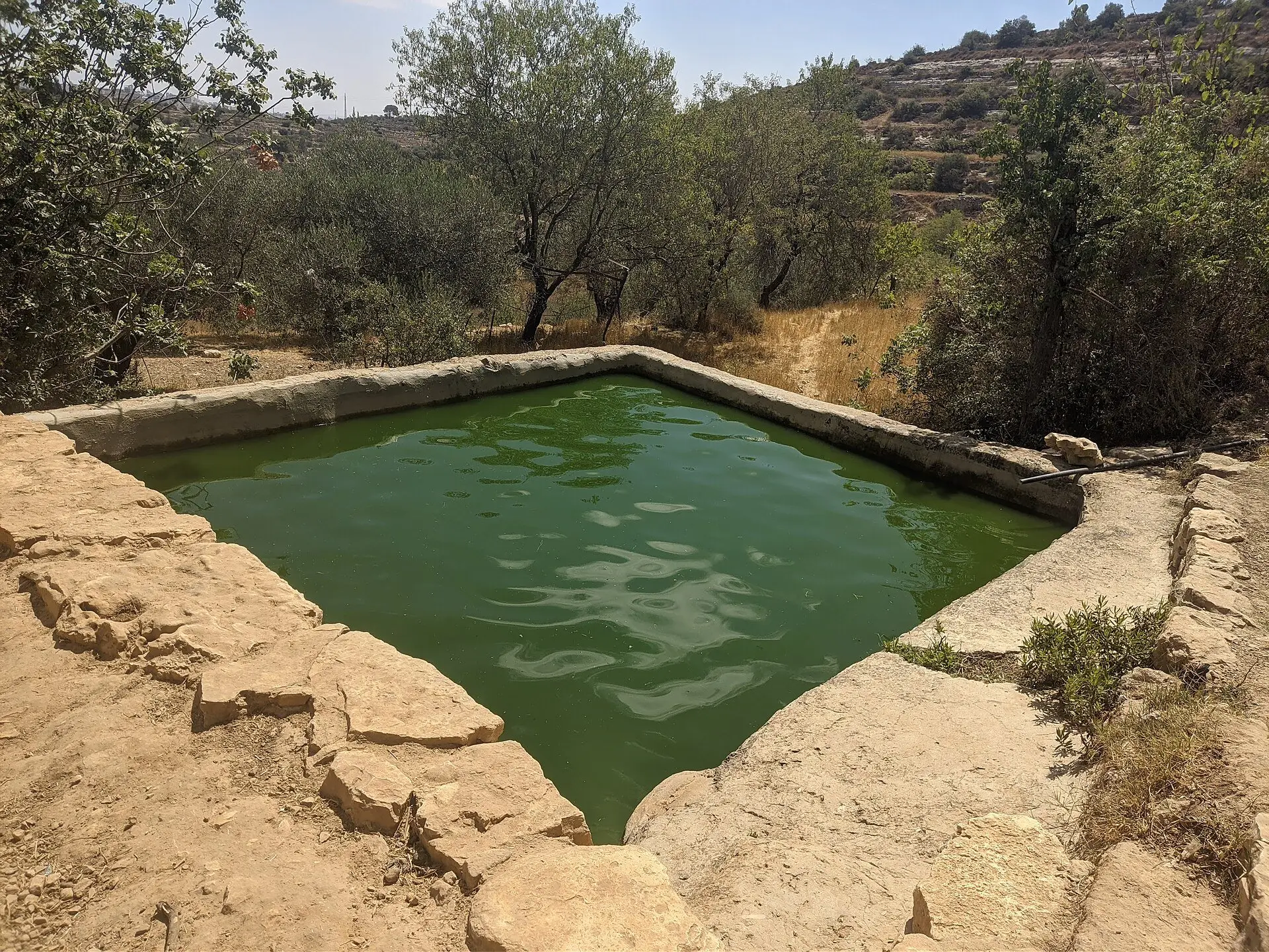 עין אל קסיס