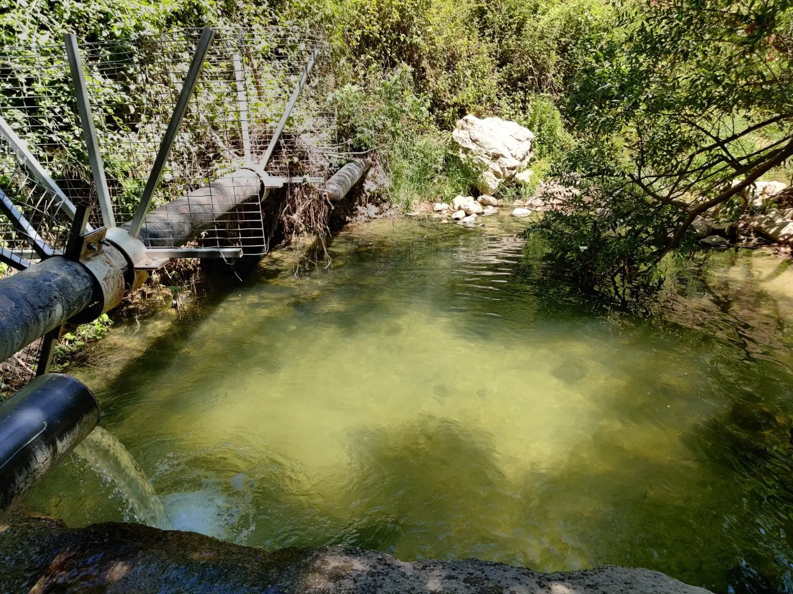 עין ערבות