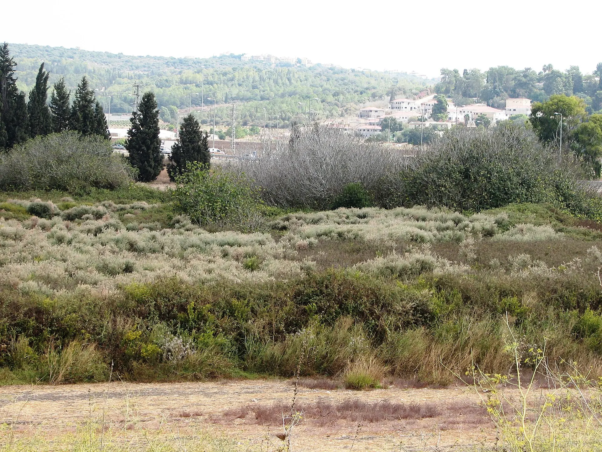 שמורת עין ארובות, תמונה 1 מתוך 1