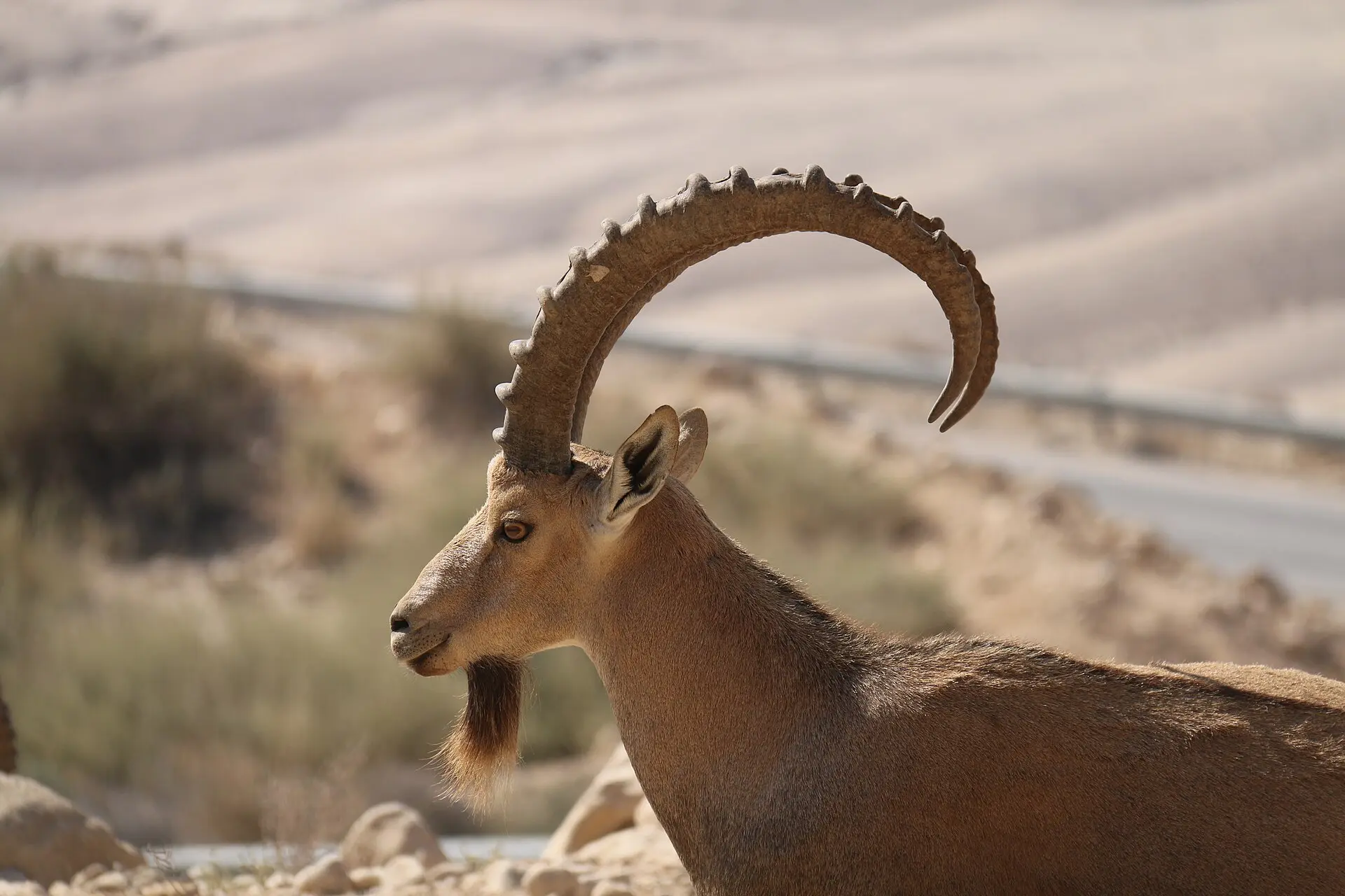 עין עבדת, תמונה 3 מתוך 3
