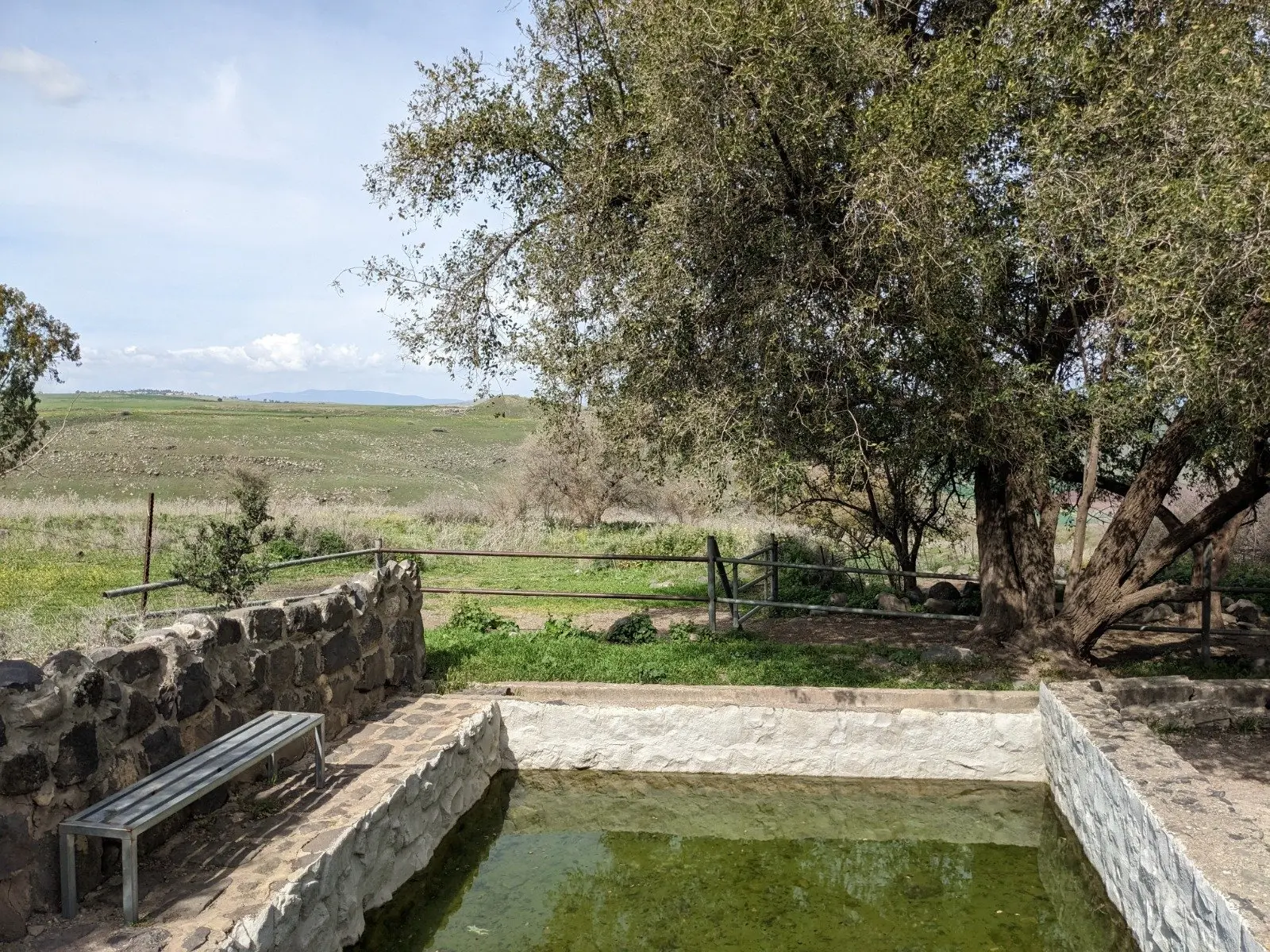 עין אלבעידה, תמונה 1 מתוך 1