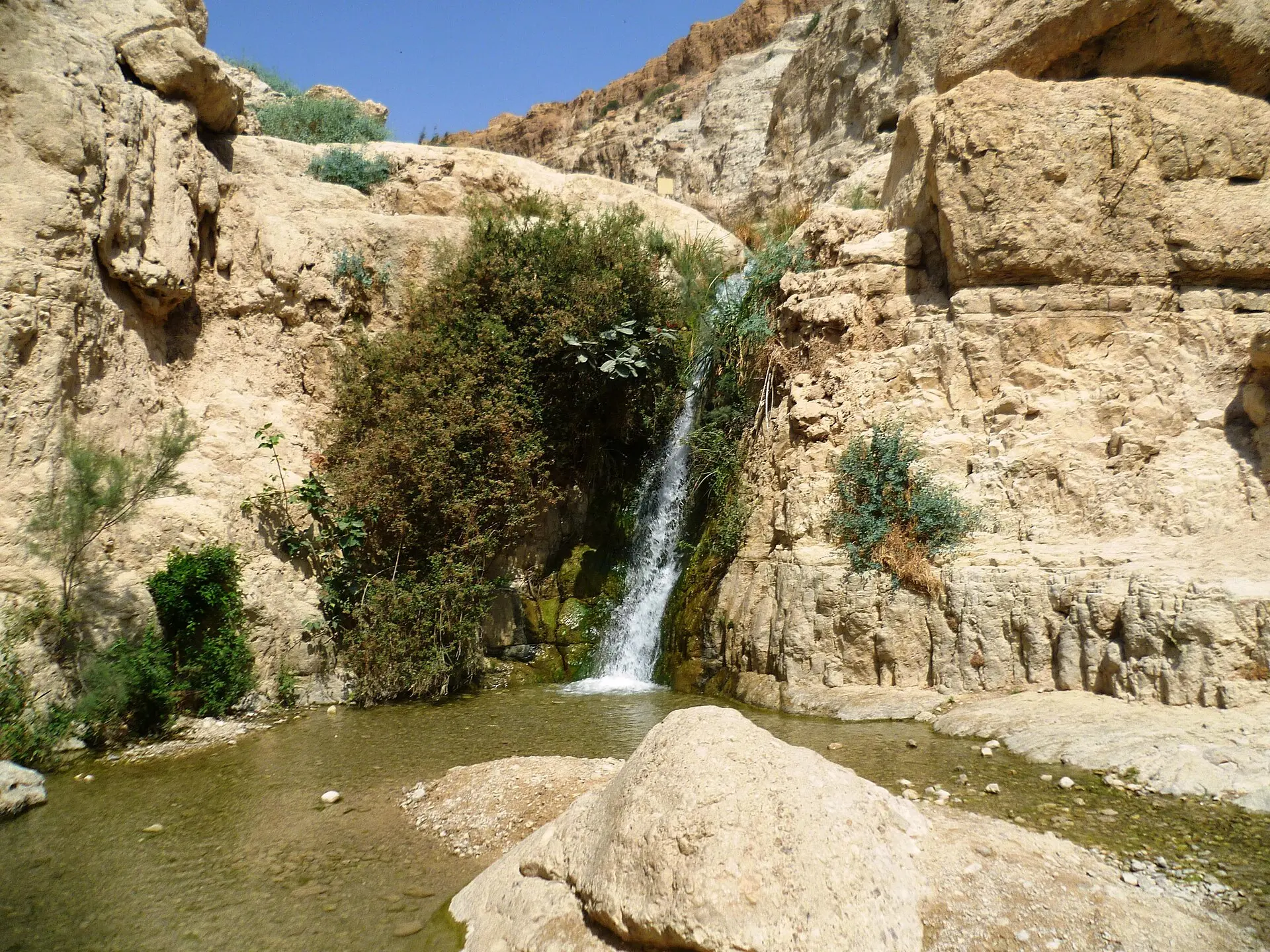 עין גדי – נחל דוד, תמונה 1 מתוך 1