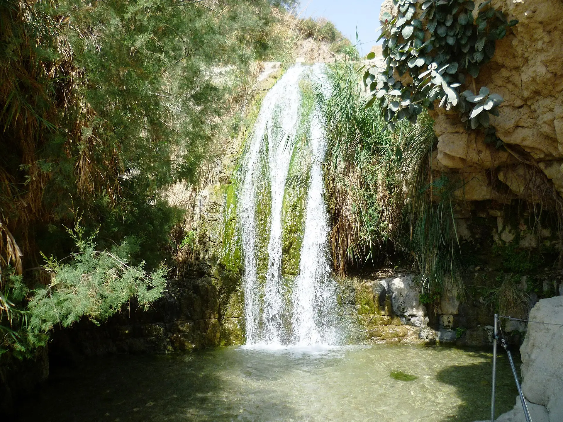 עין גדי – נחל דוד