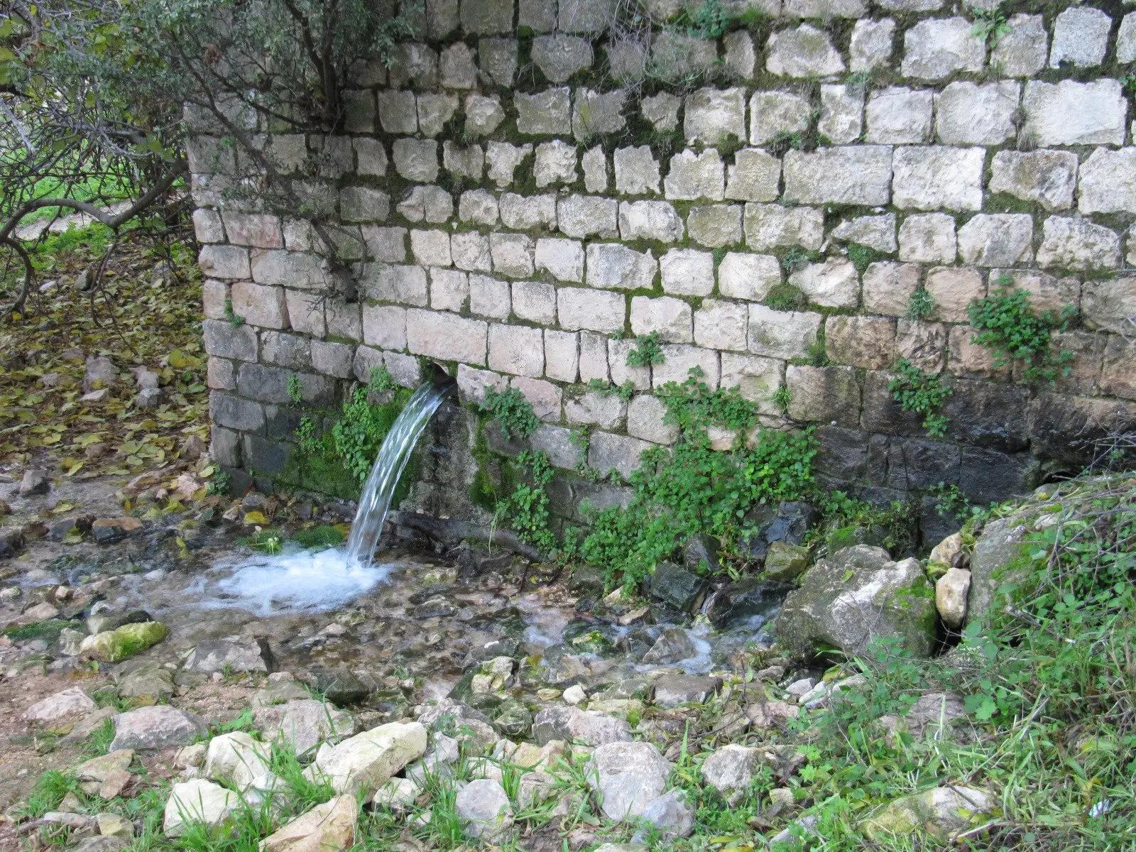 עין גיא אוני