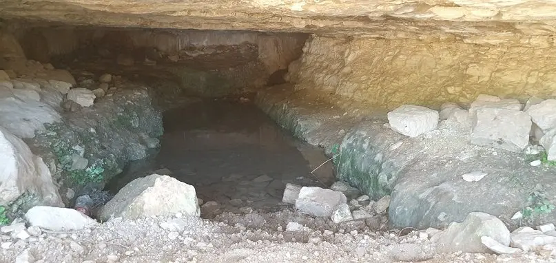 עין המסייעת 7020, תמונה 2 מתוך 2