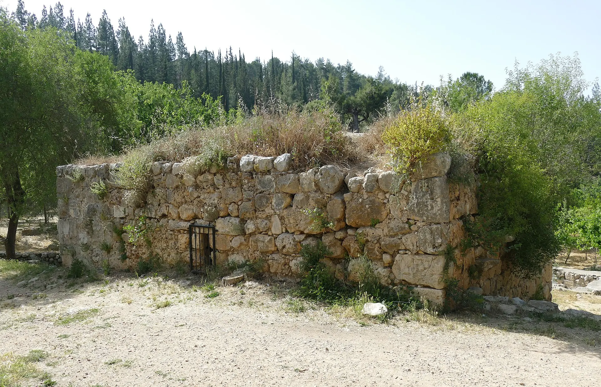 עין קובי, תמונה 2 מתוך 3