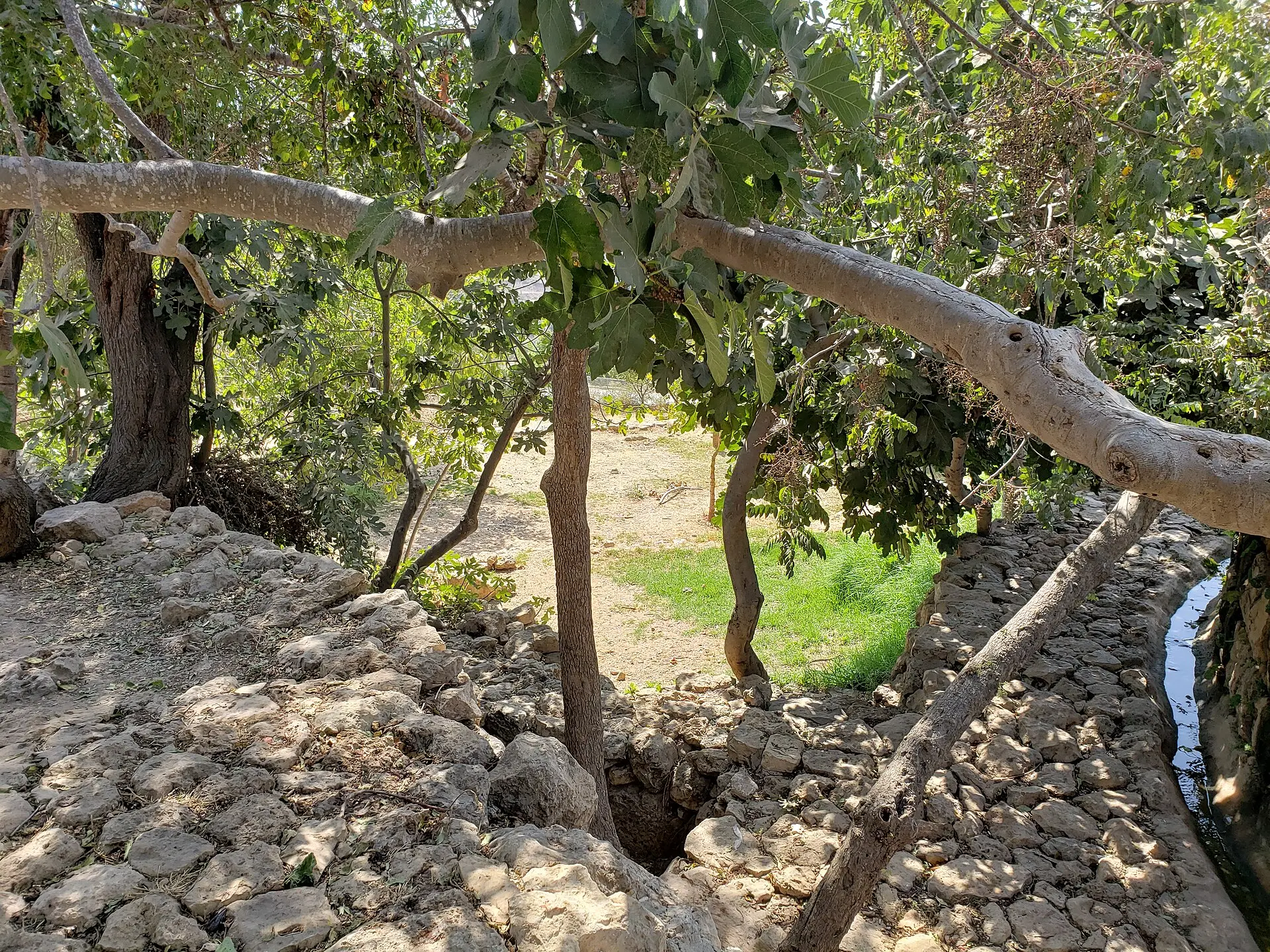 עין לבן, תמונה 1 מתוך 1