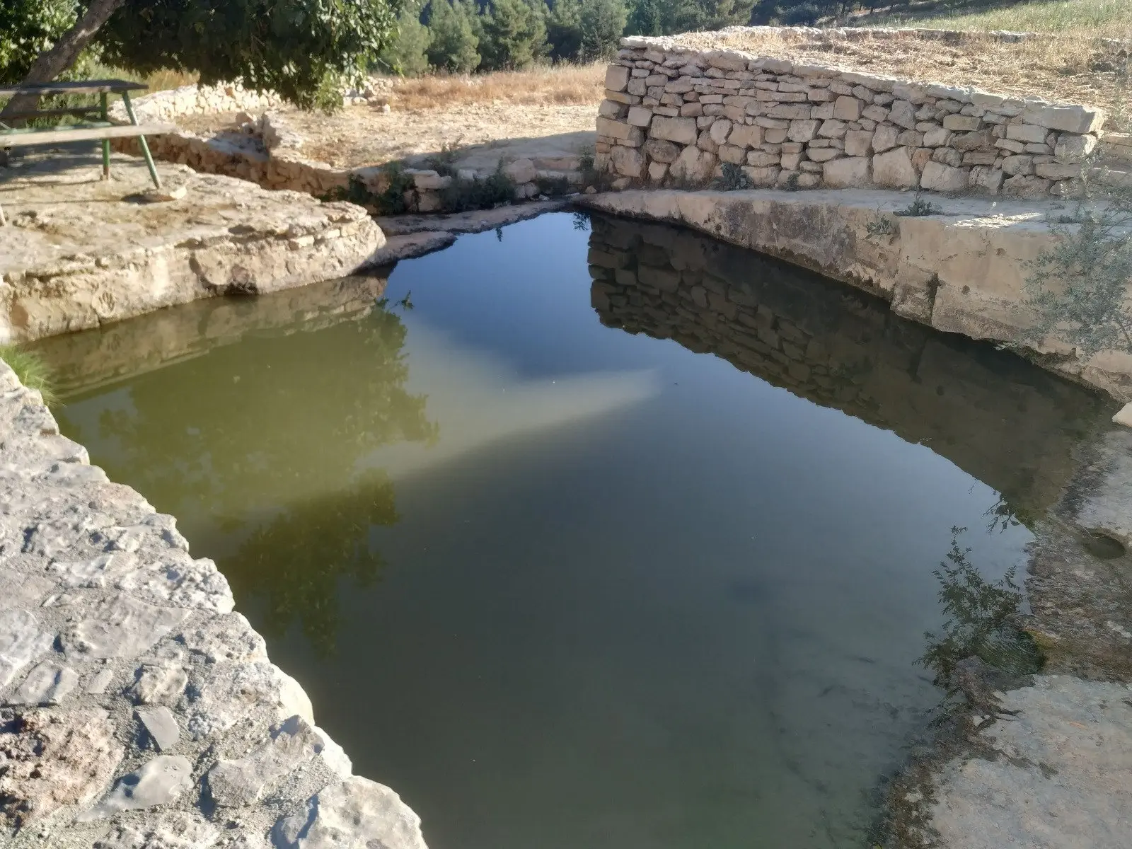 עין מסלע (עין אבו כלאב), תמונה 1 מתוך 1
