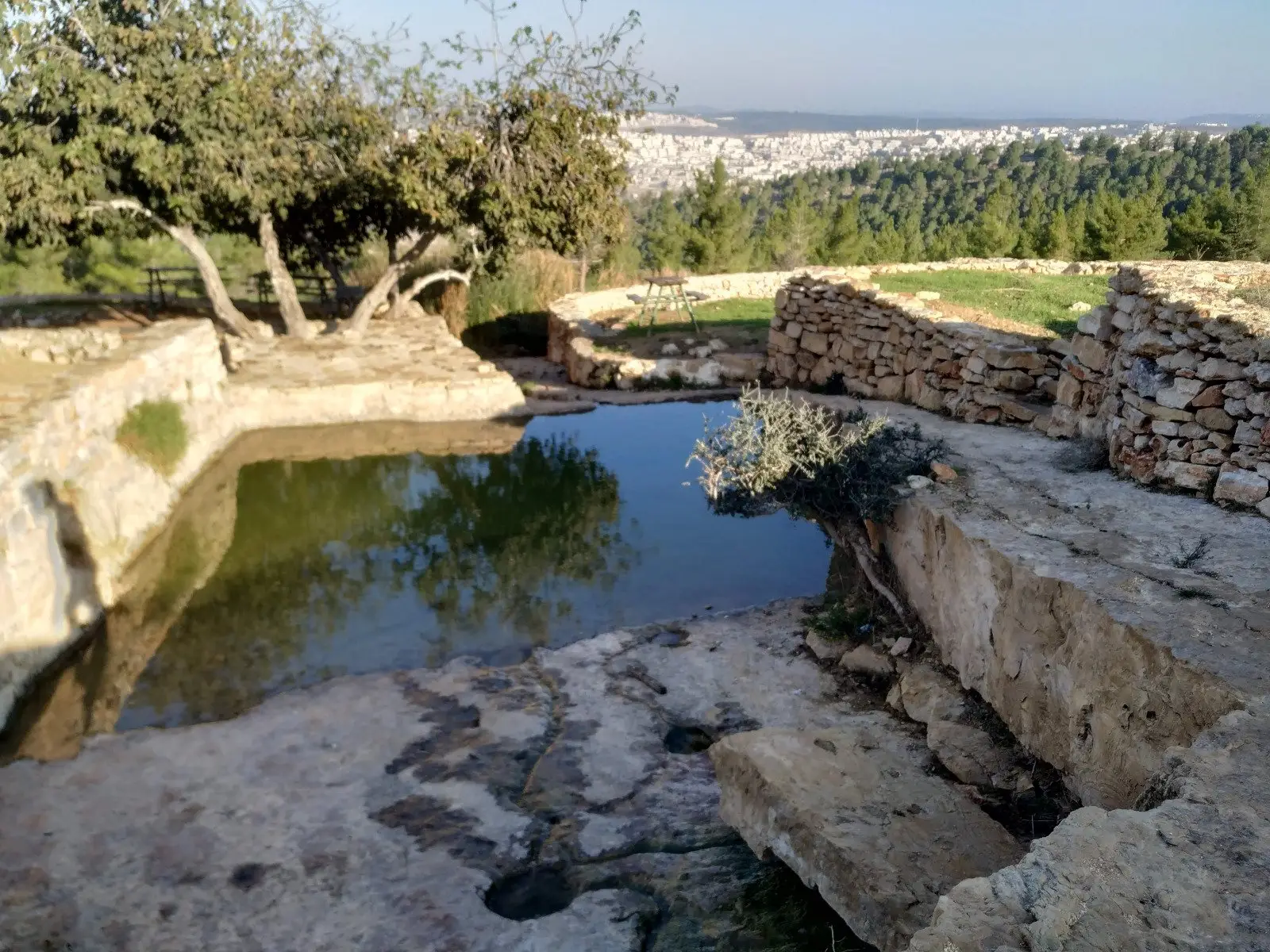 עין מסלע (עין אבו כלאב)