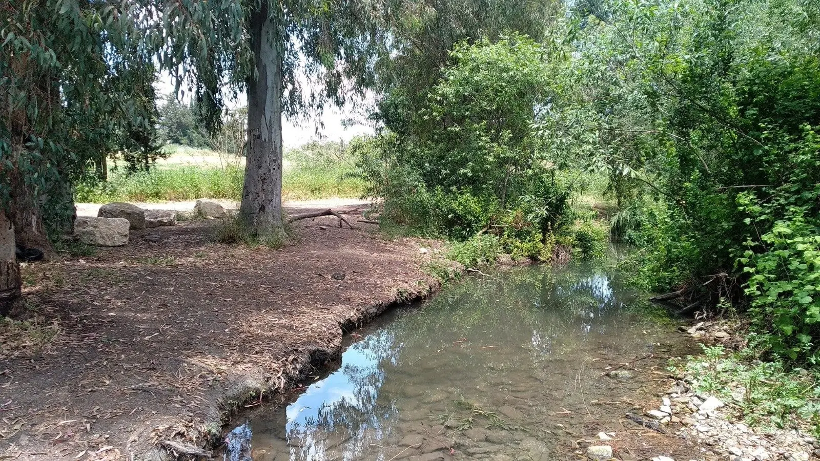עין מחוללים, תמונה 1 מתוך 1