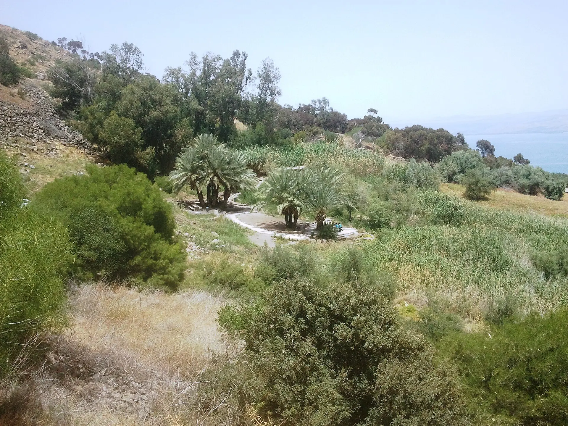 עין פוריה, תמונה 1 מתוך 1