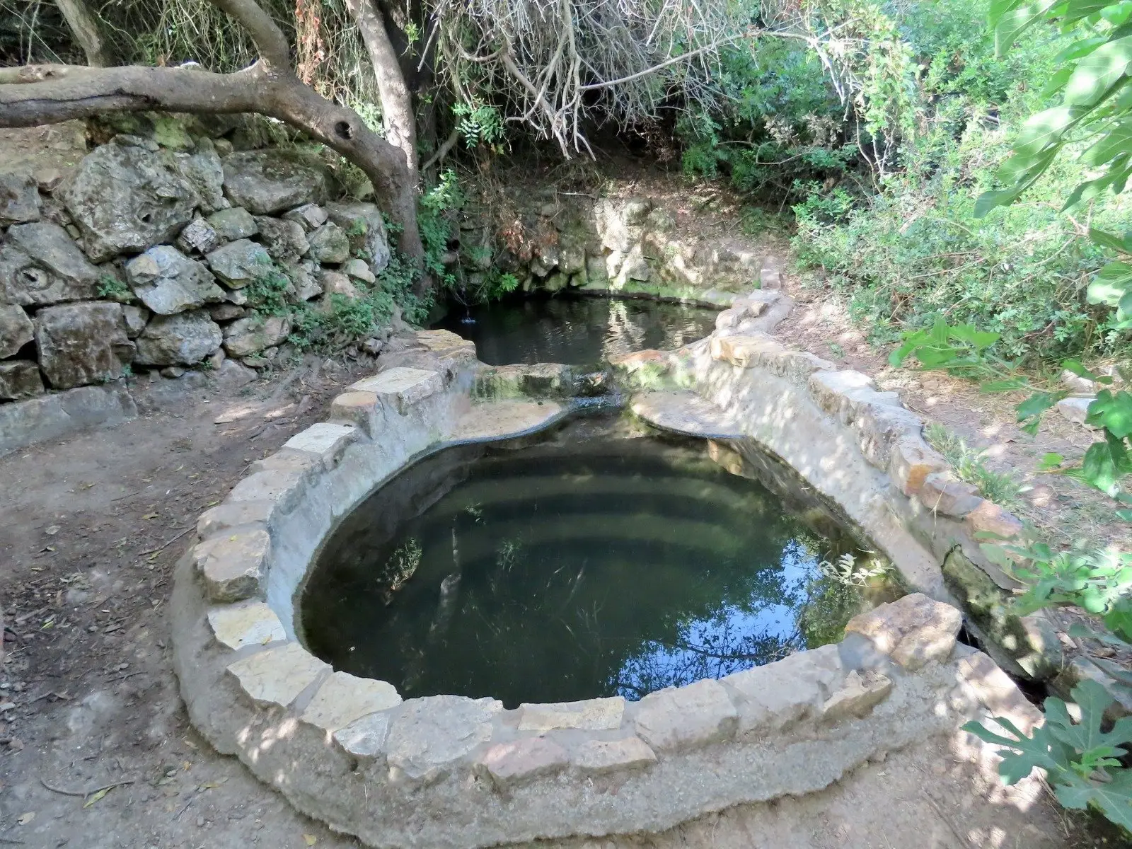 עין רזיאל