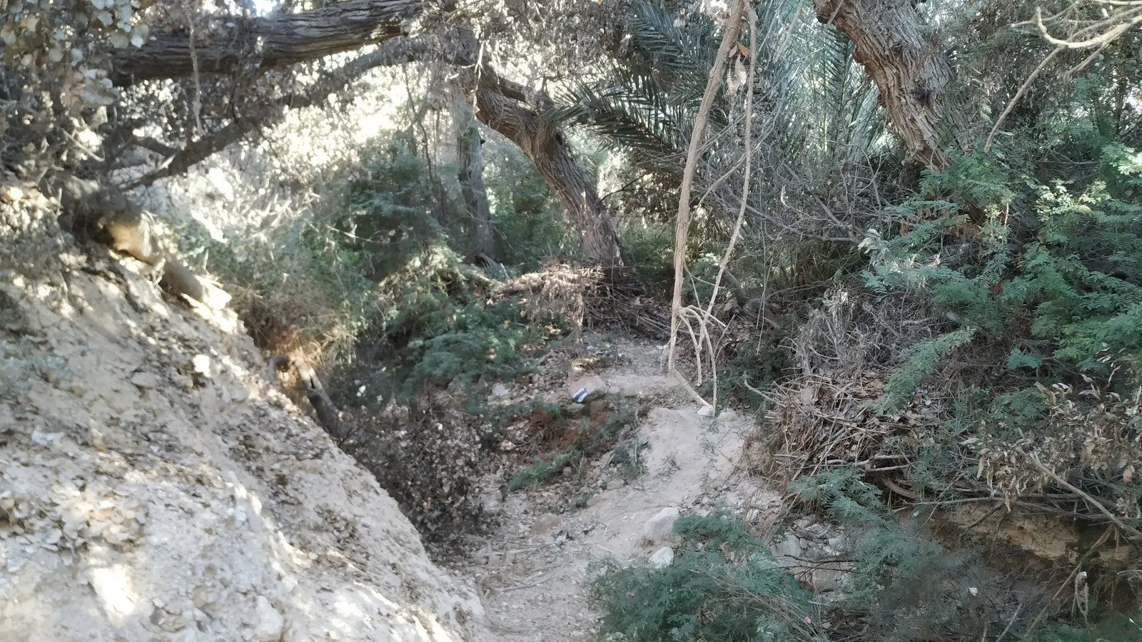 עין שביב, תמונה 1 מתוך 1