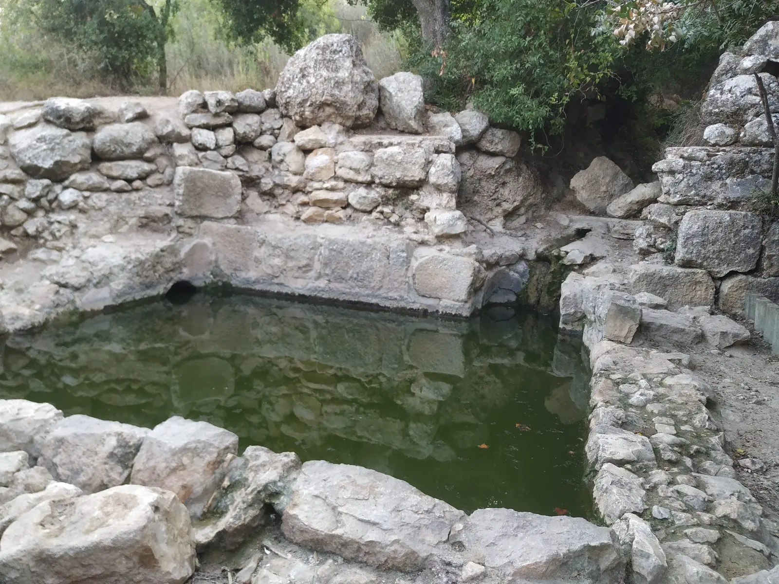 עין תמר