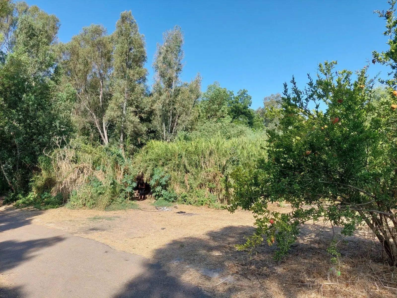 עין יגור (עין סודות), תמונה 1 מתוך 1