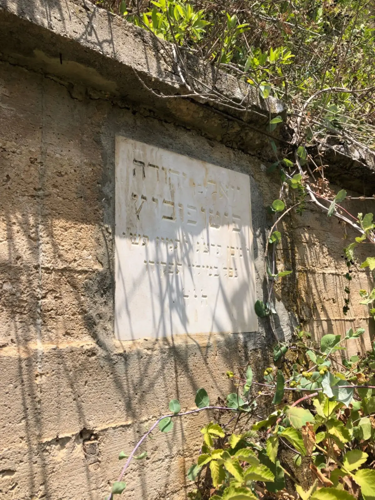 עין יואל
