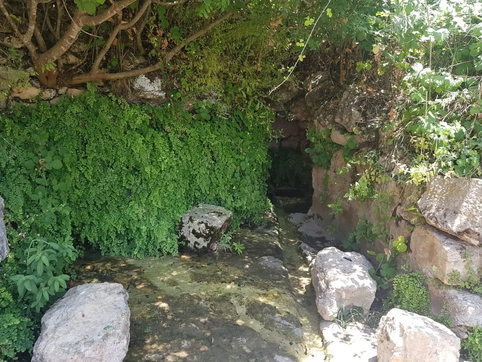 עינות ענר, תמונה 1 מתוך 1