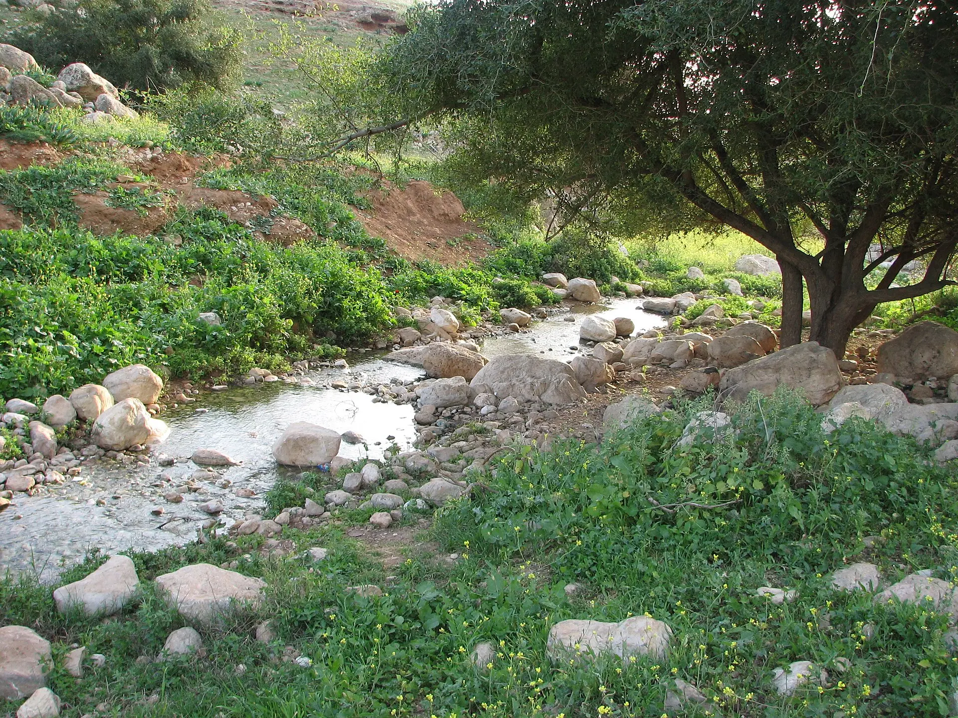 עינות פצאל ועין אפרים, תמונה 1 מתוך 1
