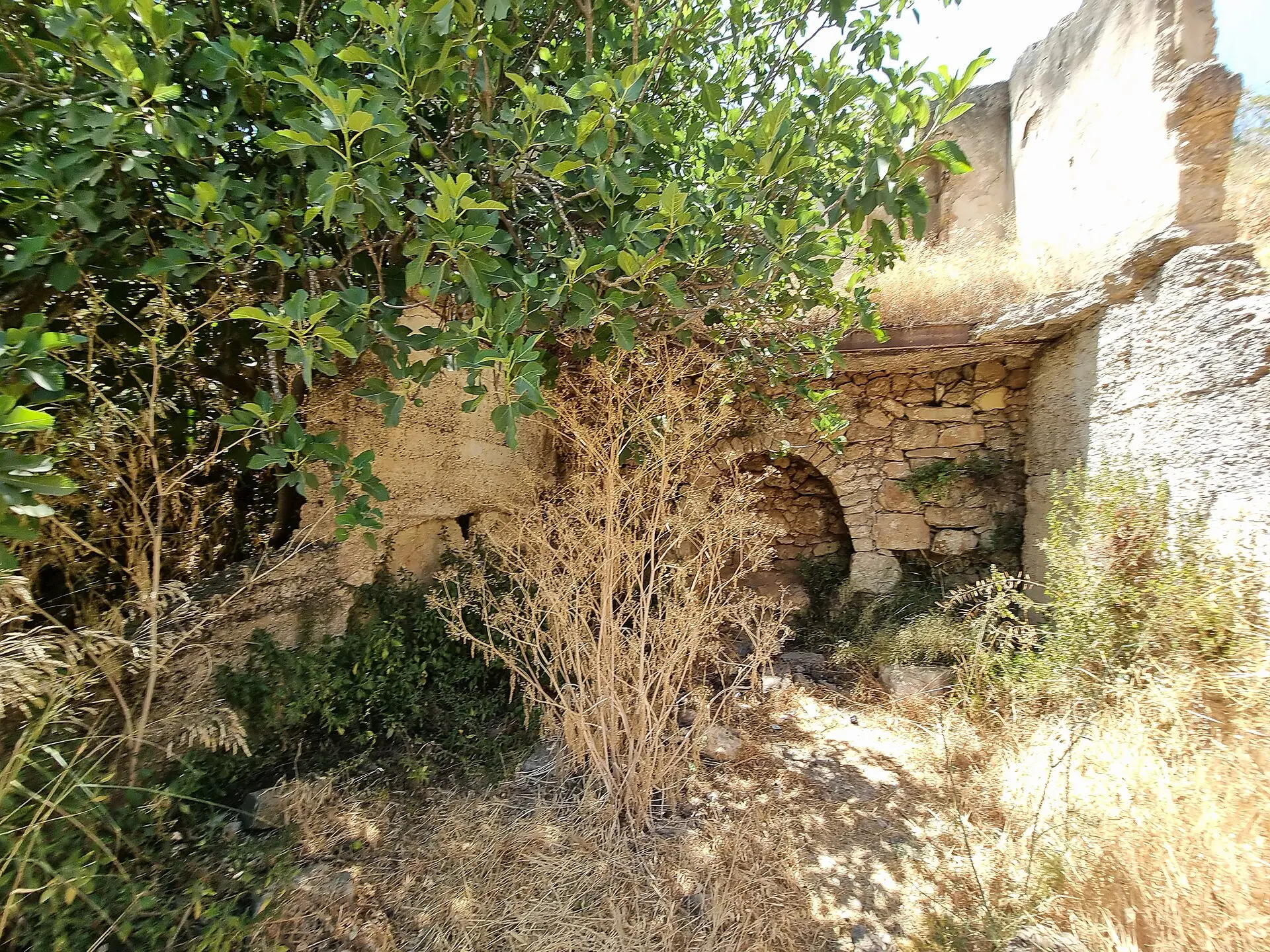 עינות תלם, תמונה 1 מתוך 1