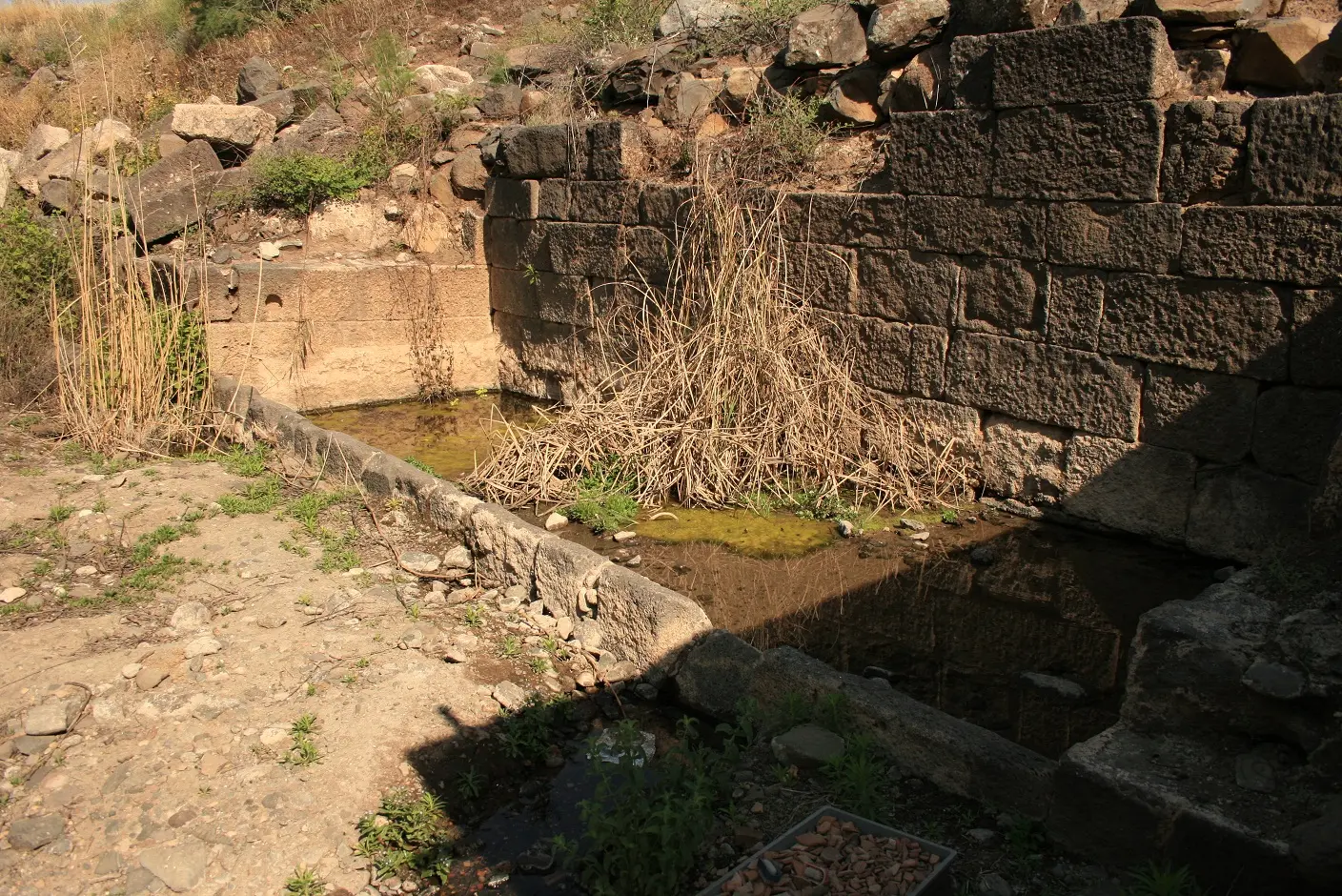 מעיין כנף (מעיין אשי), תמונה 2 מתוך 2