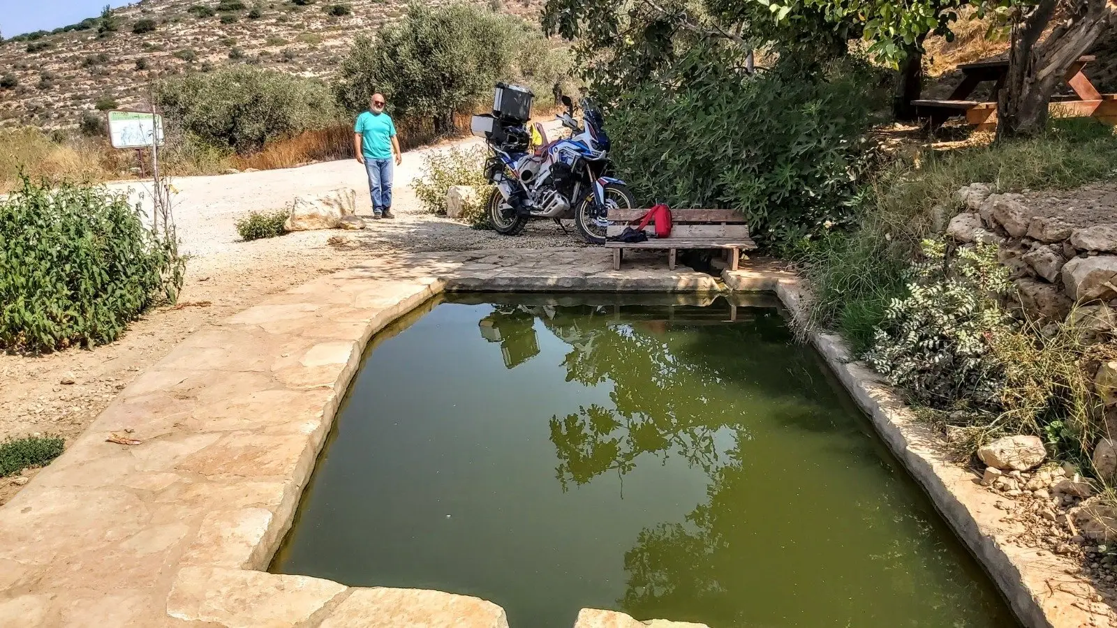 מעיין טלמון