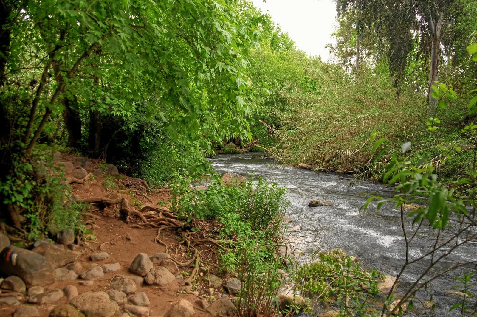 נחל שניר (חצבאני), תמונה 1 מתוך 3