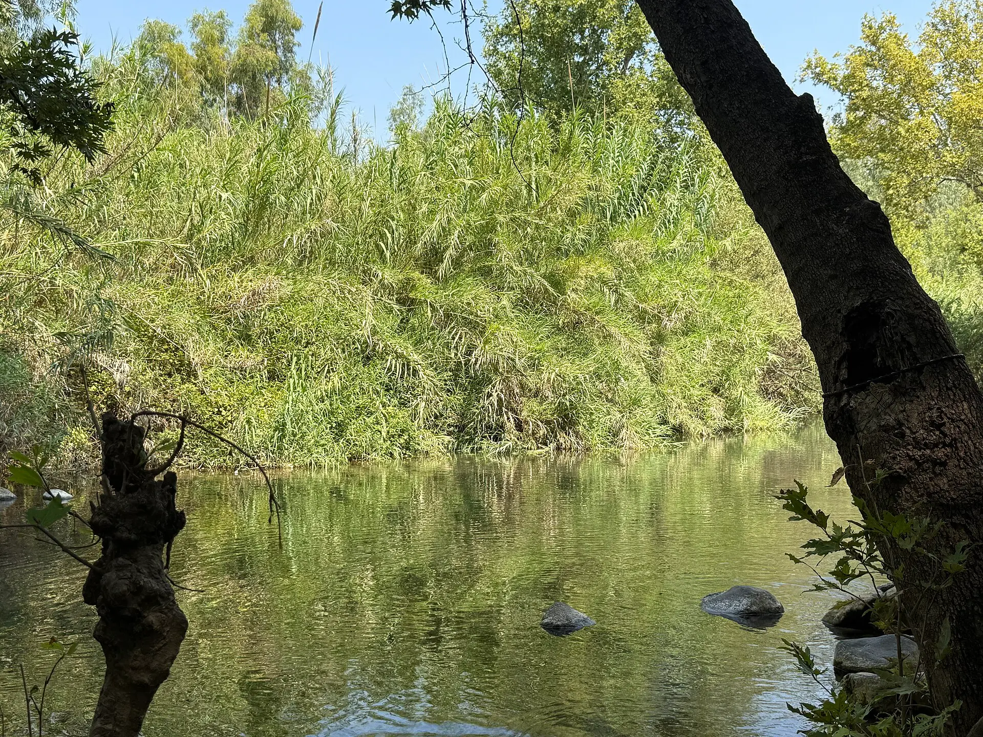 נחל שניר (חצבאני), תמונה 3 מתוך 3