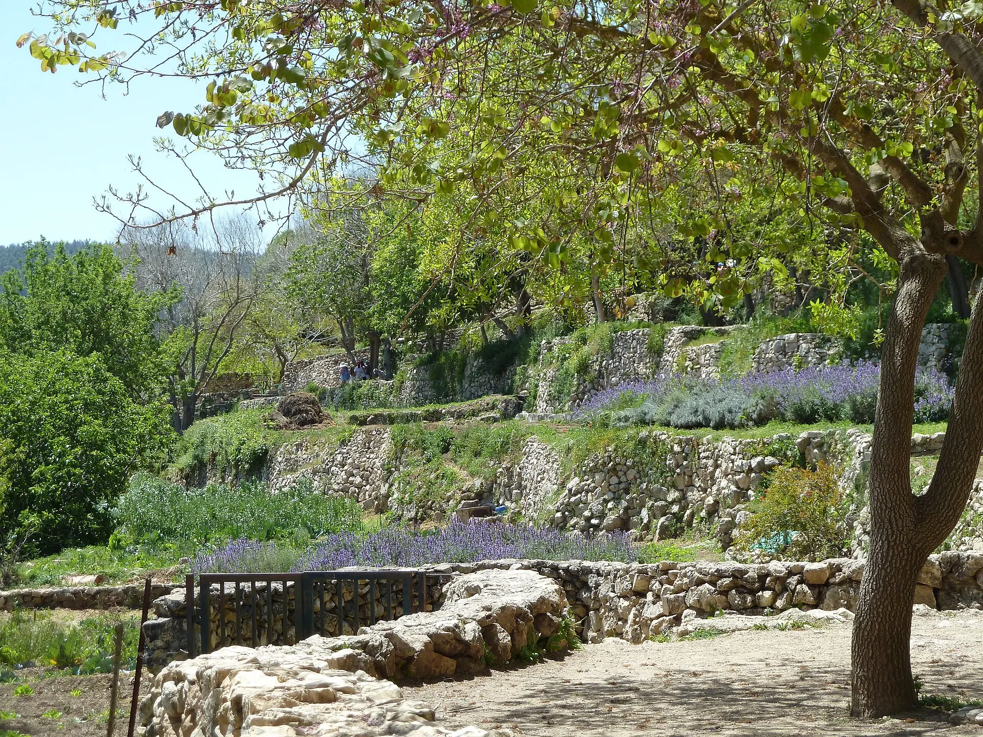 מעיינות סטף, תמונה 2 מתוך 3